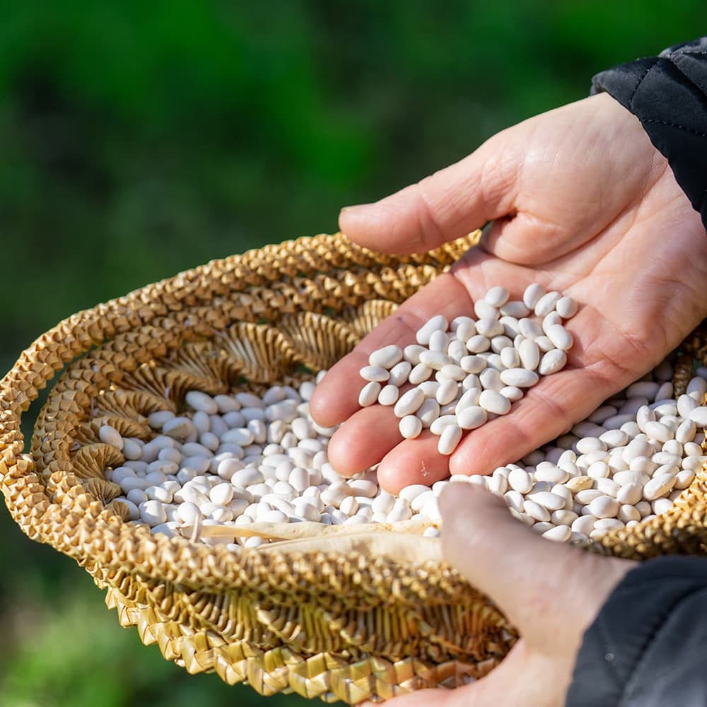 Agricampeggio Donne Rurali — foto 3