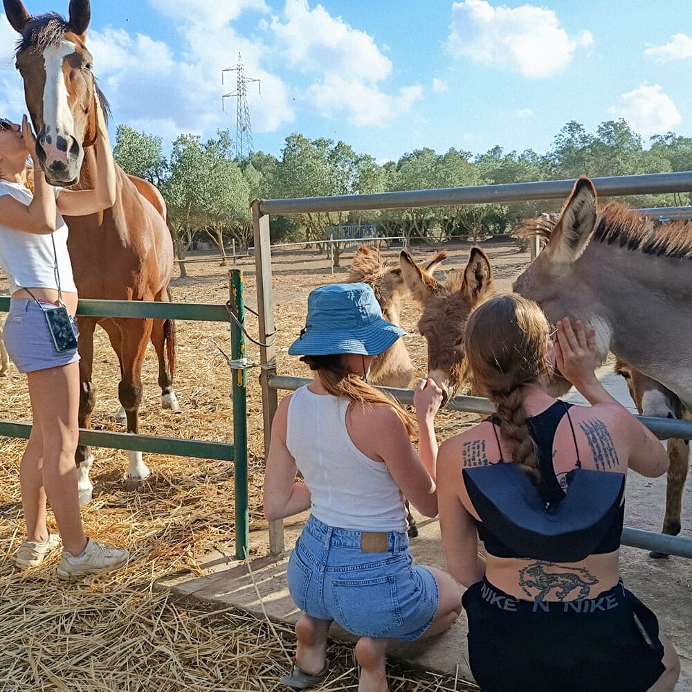 Foto gallery agricampeggio