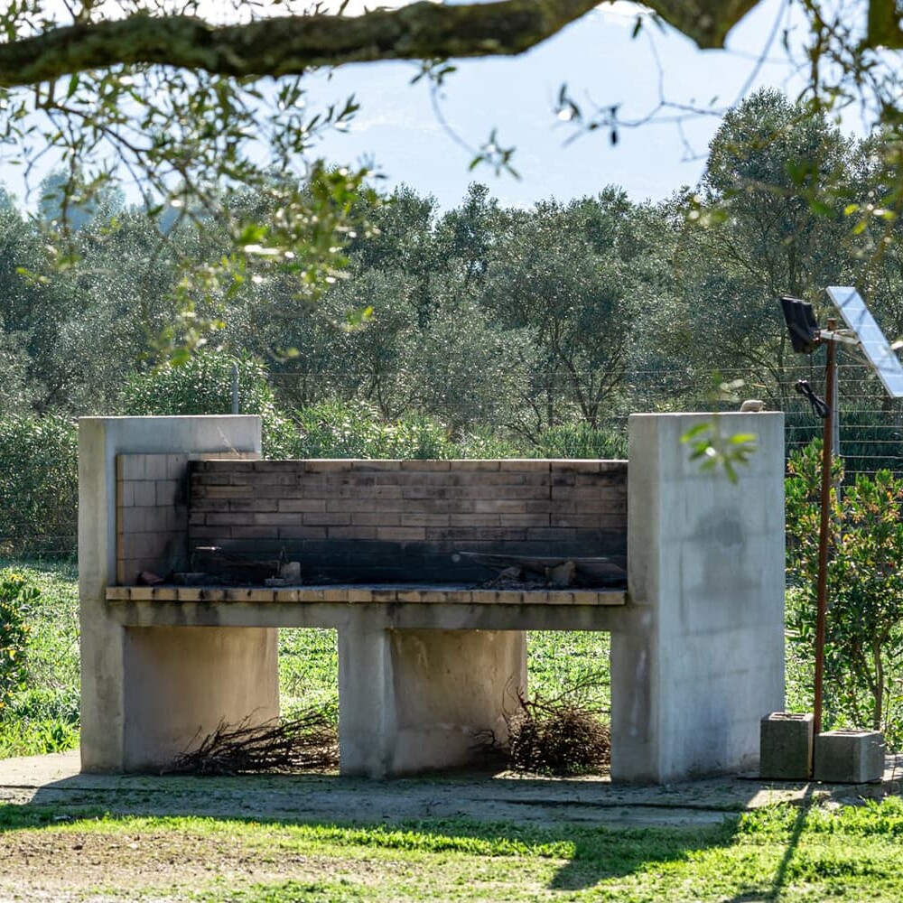 Foto gallery agricampeggio