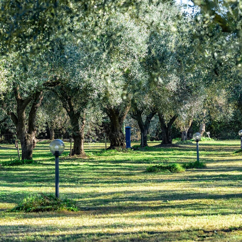 Foto gallery agricampeggio
