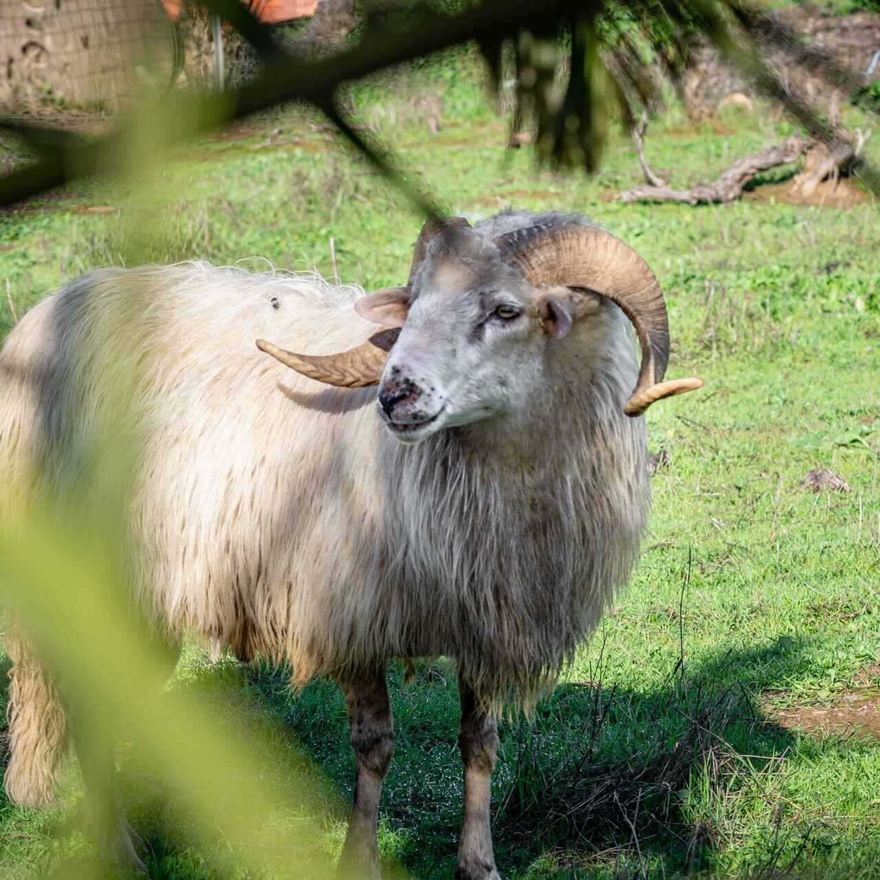 Foto gallery fattoria didattica
