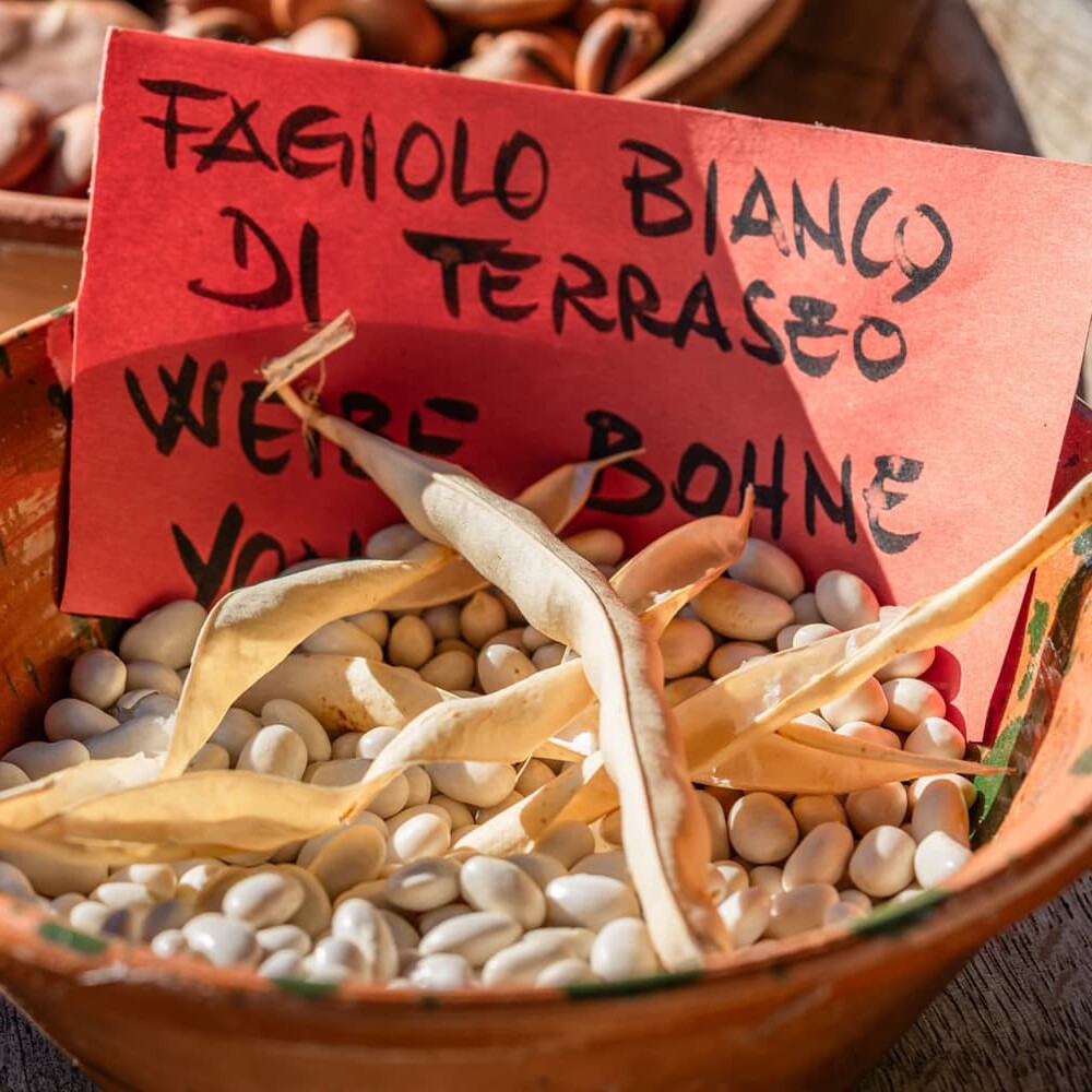 Foto gallery prodotti biologici