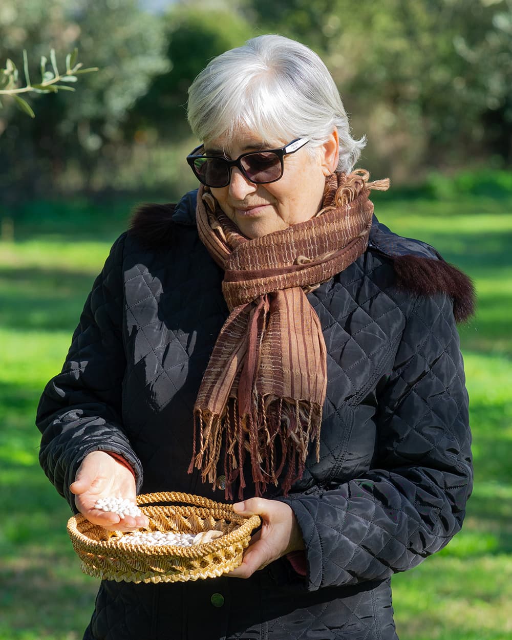 Le nostre radici